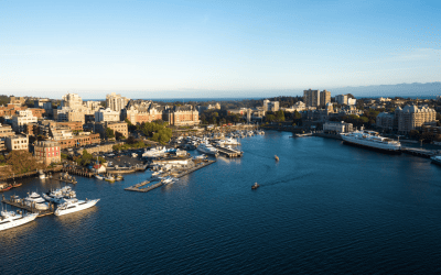 Pregnancy & Postpartum Support in Victoria BC
