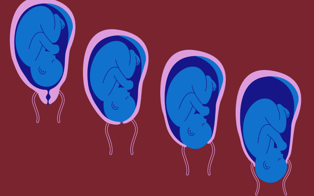 The Process of Labor: What to Expect, How to Prepare, and What Happens After Birth