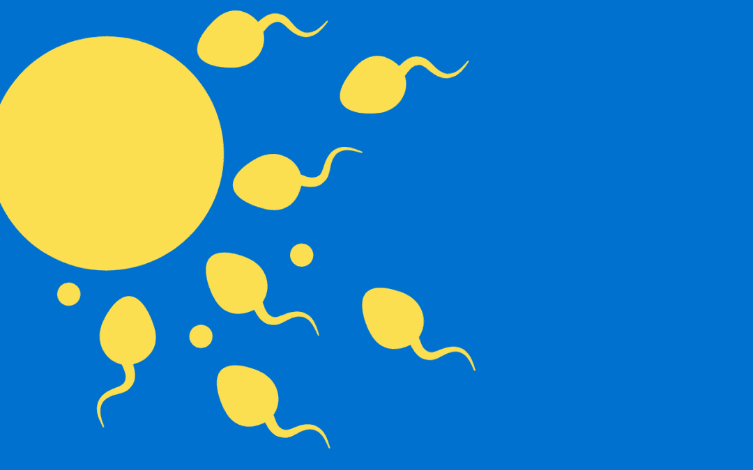 Fertility Treatments 101: A Glossary of Options for All Paths to Parenthood