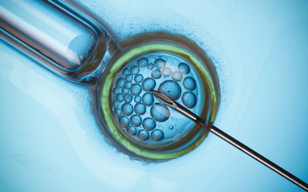 A New In Vitro Fertilization Program Has Arrived in British Columbia: What You Need To Know