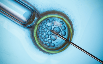 A New In Vitro Fertilization Program Has Arrived in British Columbia: What You Need To Know