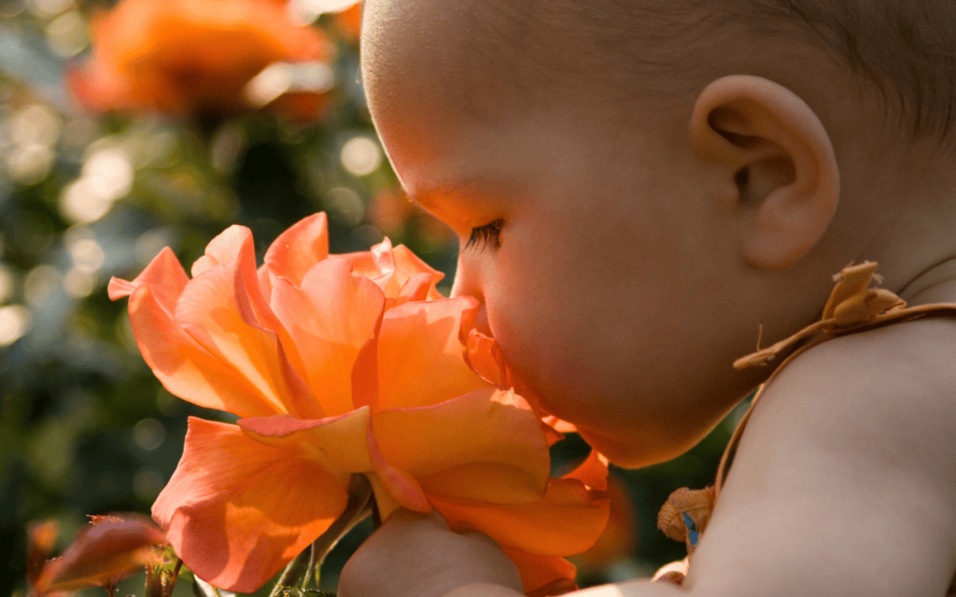 What Summer With a Toddler Taught Me About Slowing Down